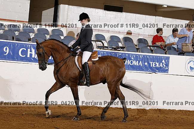 Proof 11r9_04201