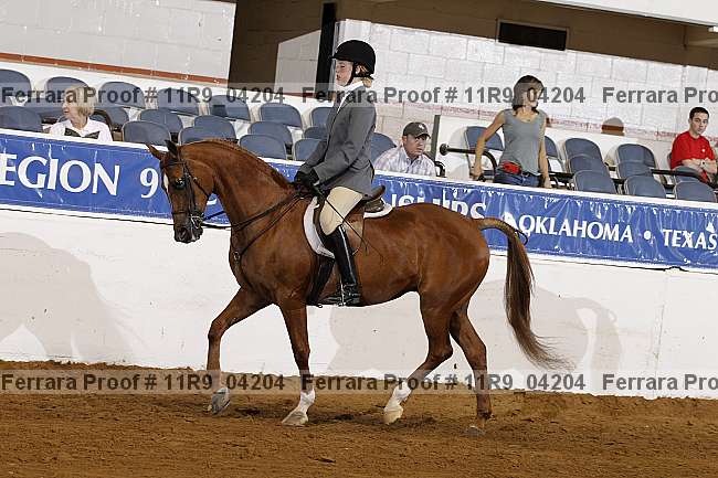 Proof 11r9_04204