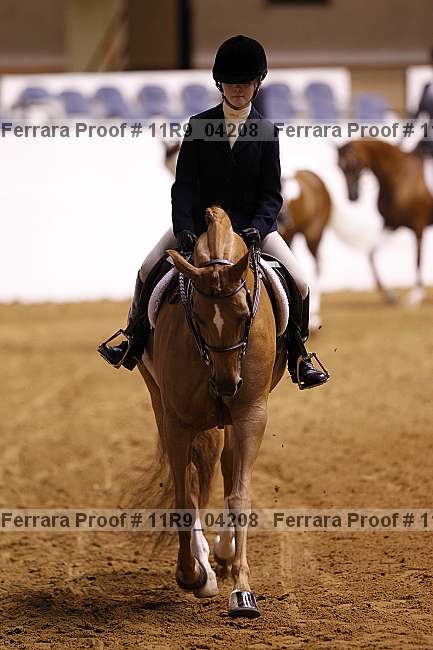 Proof 11r9_04208