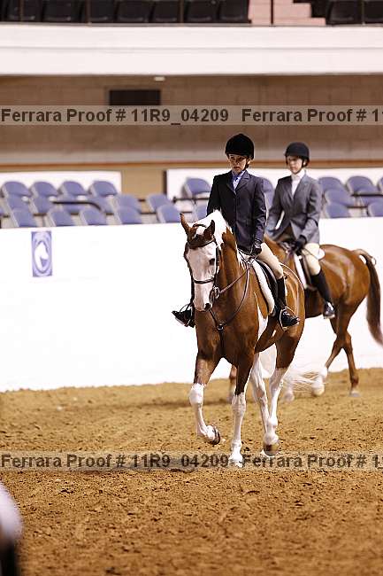 Proof 11r9_04209
