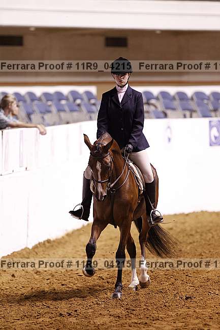 Proof 11r9_04215
