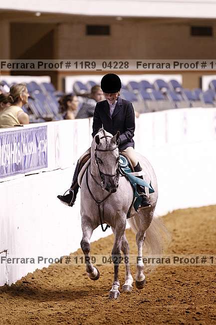 Proof 11r9_04228