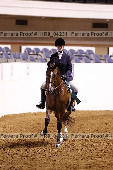 Proof 11r9_04231