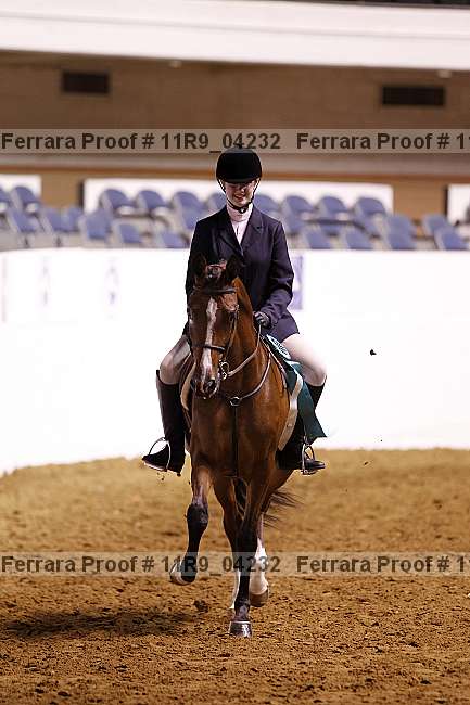 Proof 11r9_04232