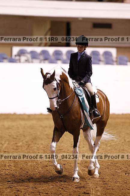 Proof 11r9_04234