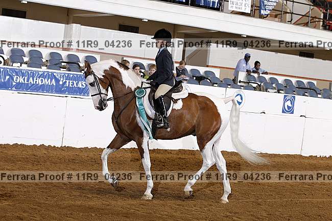 Proof 11r9_04236