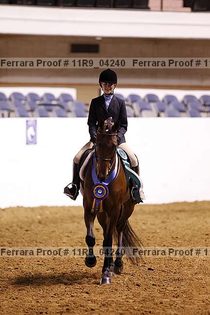 Proof 11r9_04240