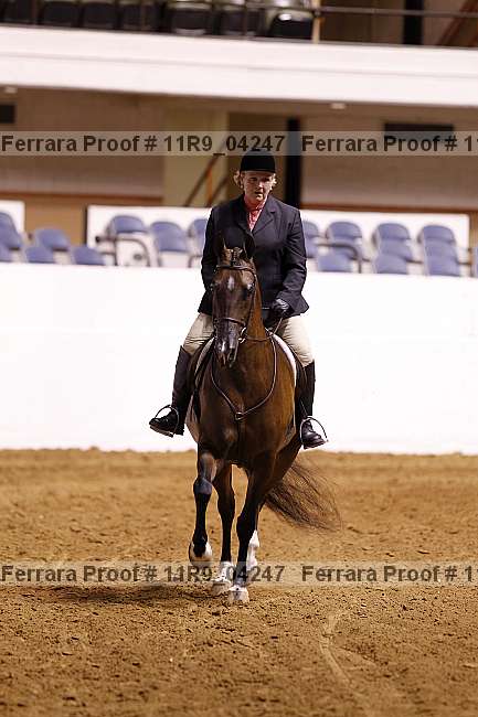Proof 11r9_04247