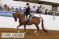 11r9_04248 proof