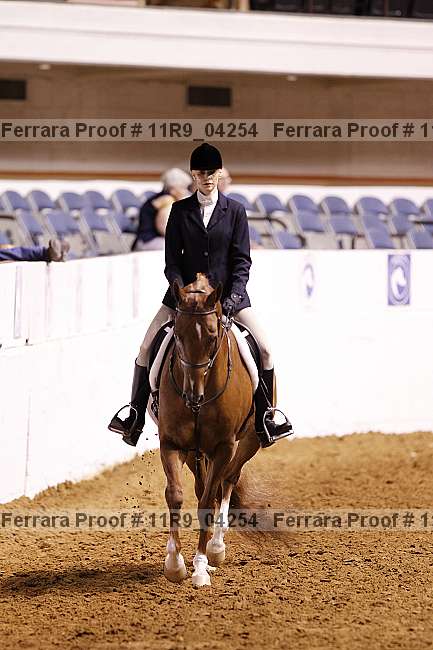 Proof 11r9_04254