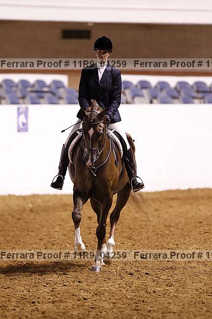 Proof 11r9_04259