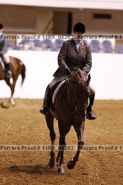 Proof 11r9_04263