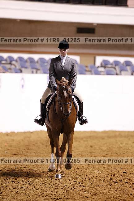 Proof 11r9_04265