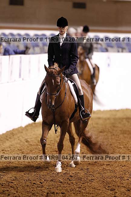 Proof 11r9_04267