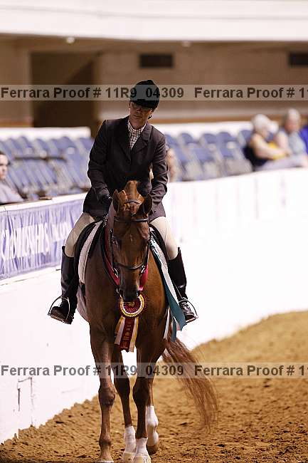 Proof 11r9_04309