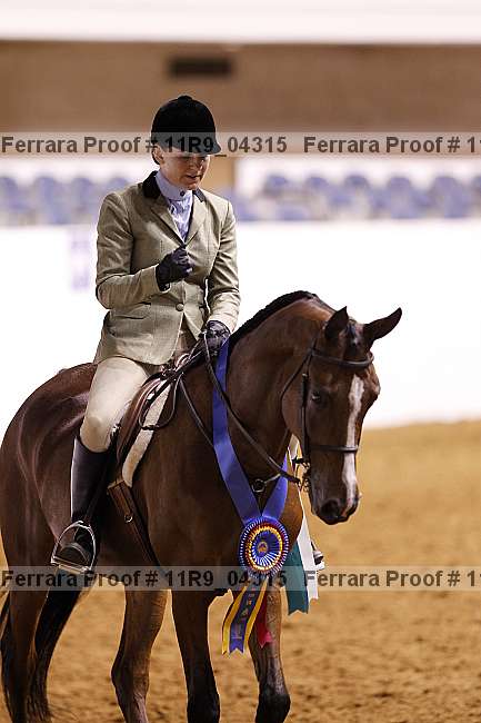 Proof 11r9_04315