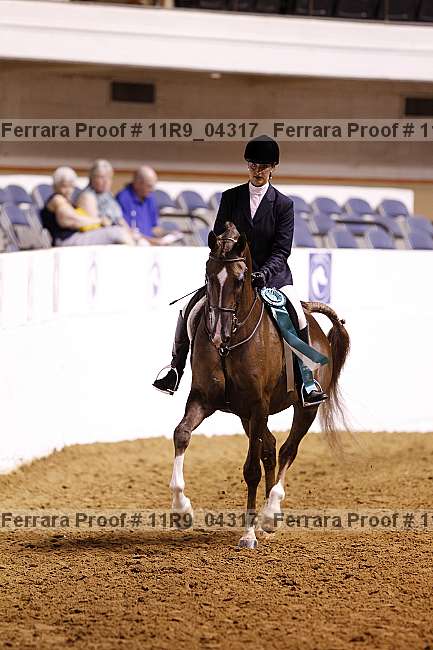 Proof 11r9_04317