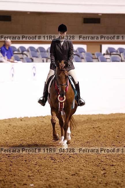 Proof 11r9_04328