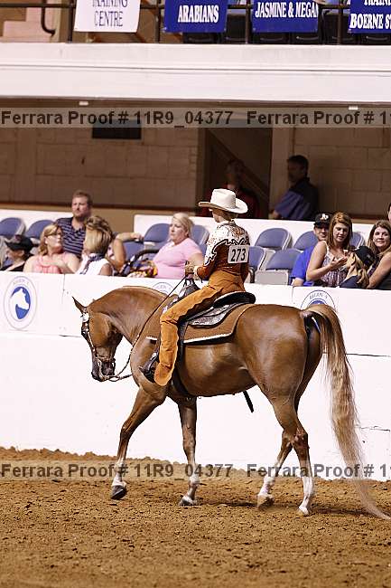 Proof 11r9_04377