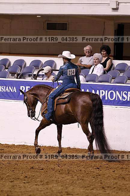 Proof 11r9_04385