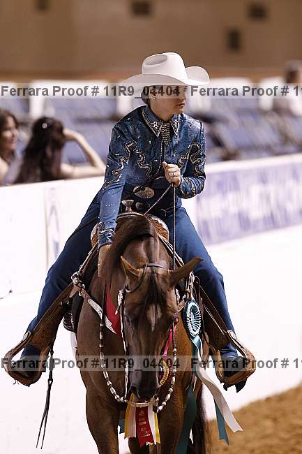 Proof 11r9_04404