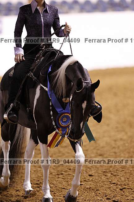 Proof 11r9_04409