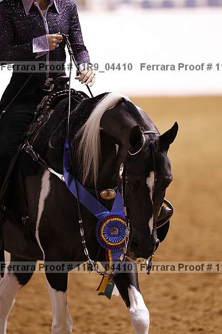 Proof 11r9_04410
