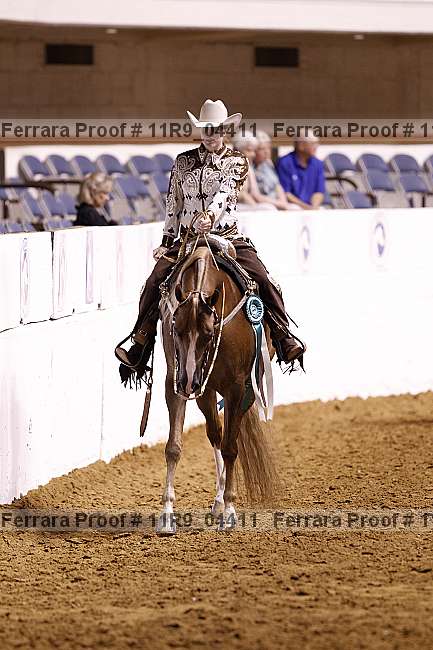 Proof 11r9_04411