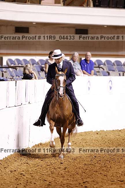 Proof 11r9_04433