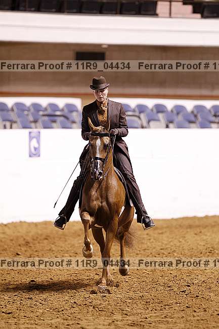 Proof 11r9_04434