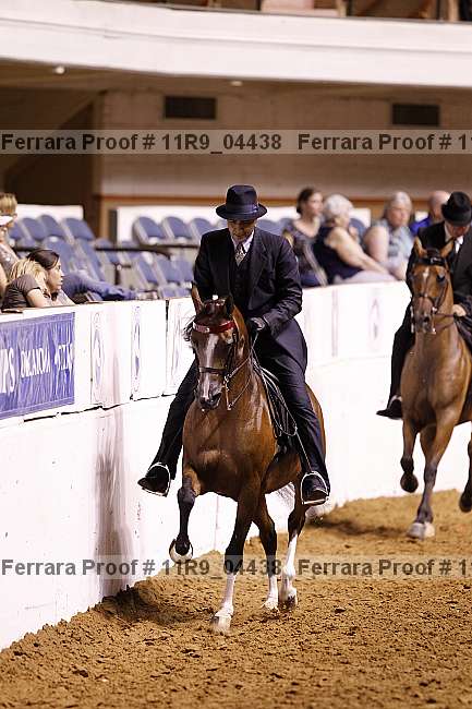 Proof 11r9_04438