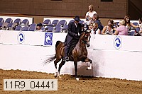 11r9_04441 proof