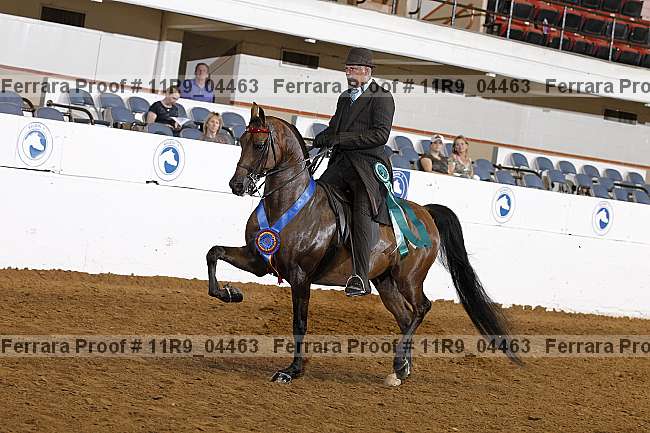 Proof 11r9_04463