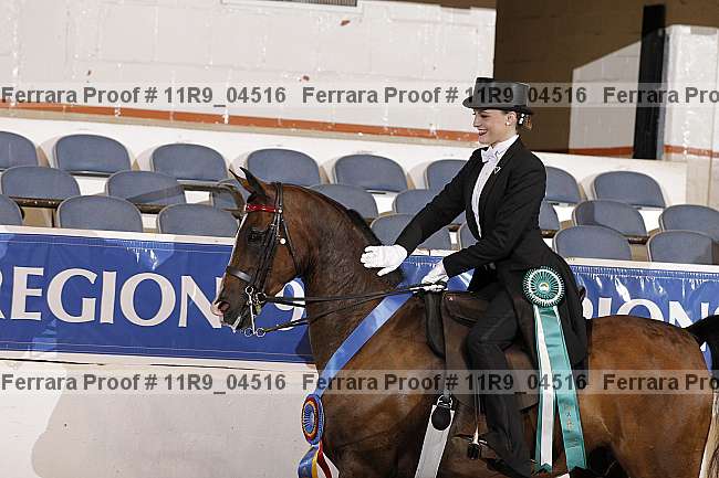 Proof 11r9_04516