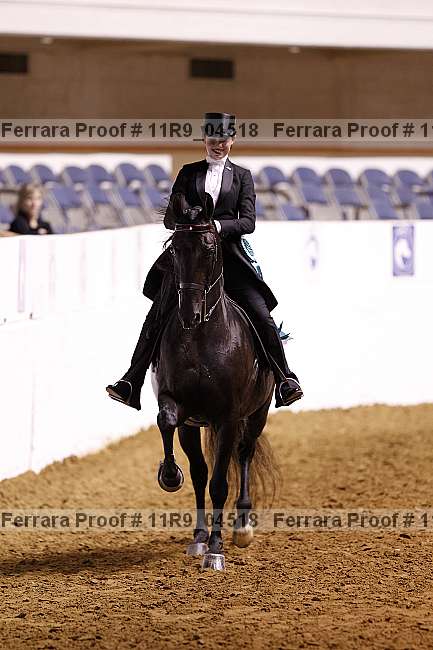 Proof 11r9_04518
