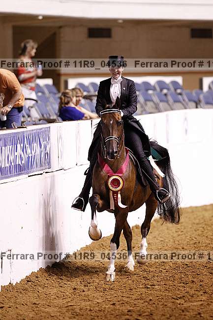 Proof 11r9_04536