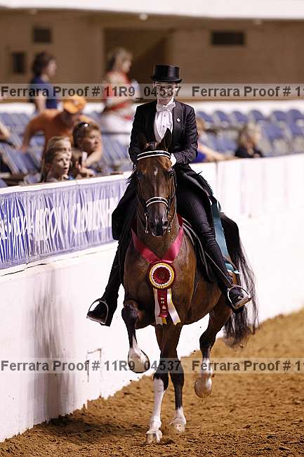 Proof 11r9_04537