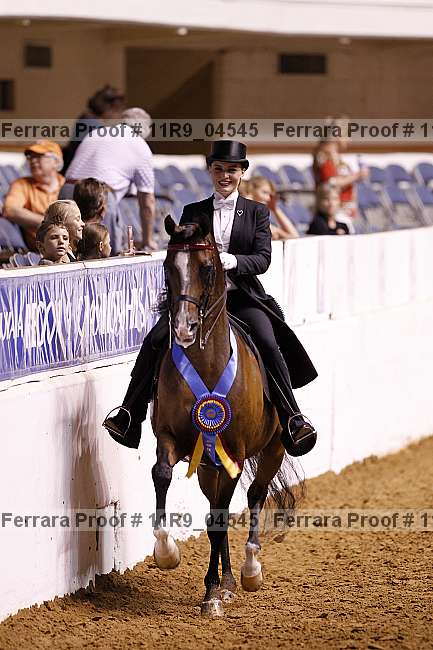 Proof 11r9_04545