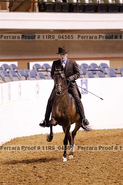 Proof 11r9_04565