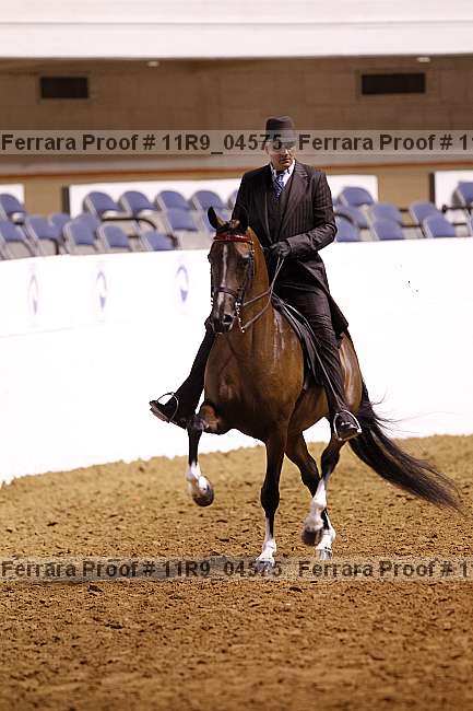 Proof 11r9_04575