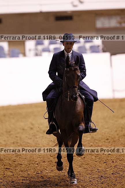 Proof 11r9_04593