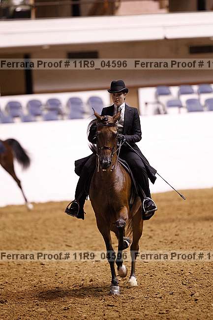 Proof 11r9_04596