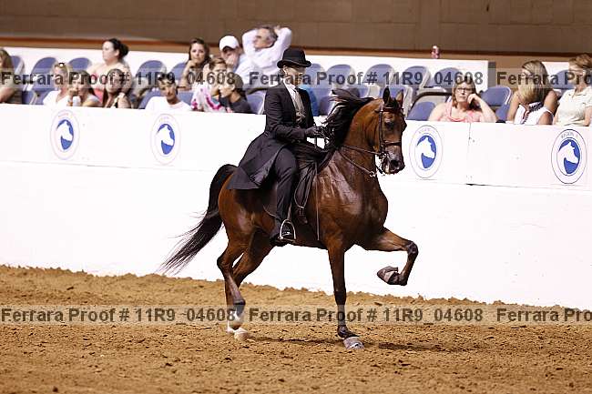 Proof 11r9_04608
