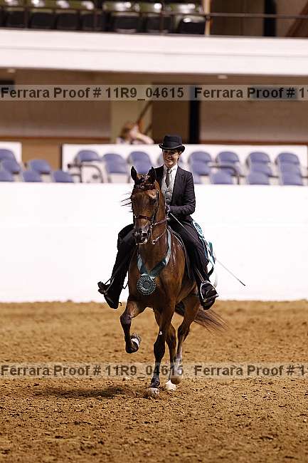Proof 11r9_04615