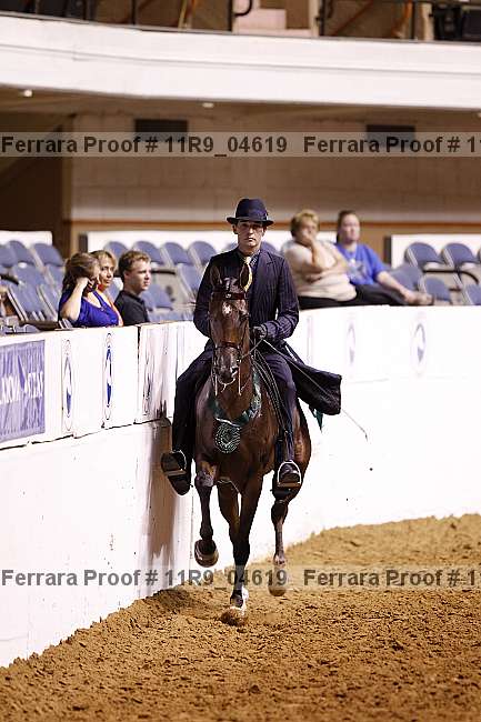 Proof 11r9_04619