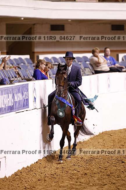 Proof 11r9_04627