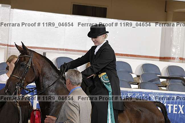 Proof 11r9_04654