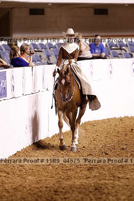 Proof 11r9_04675