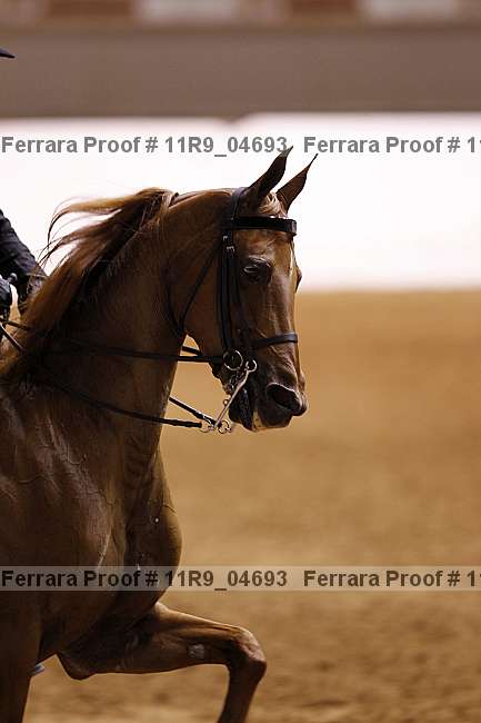 Proof 11r9_04693