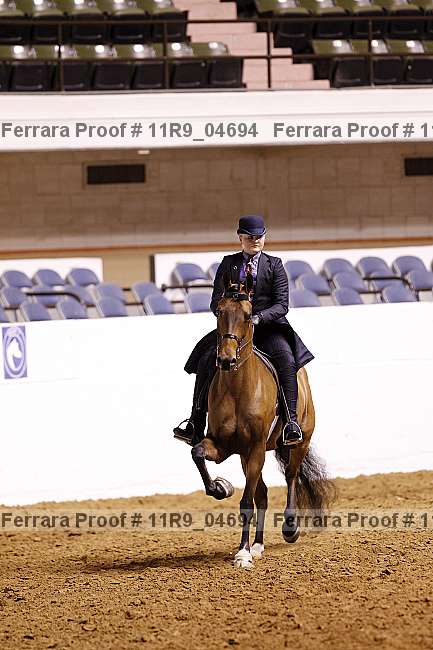 Proof 11r9_04694
